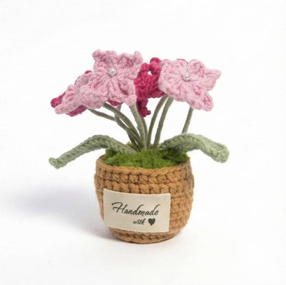 Forget-Me-Not Handmade Crochet Plant Gift