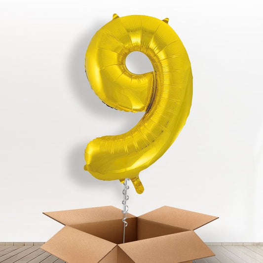 Gold Giant Number 9 Balloon in a Box Gift - Giant Number | Small Indoor Plants