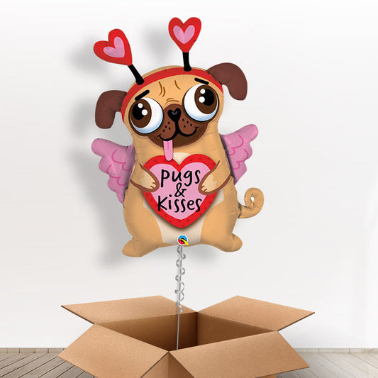 Giant Pug Balloon in a Box - Giant Balloon | Small Indoor Plants