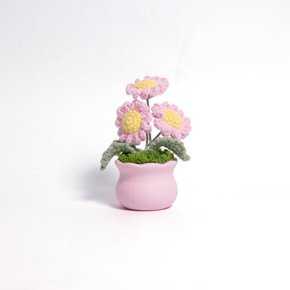 Daisy Pot Plant Handmade Crochet Flower Gift