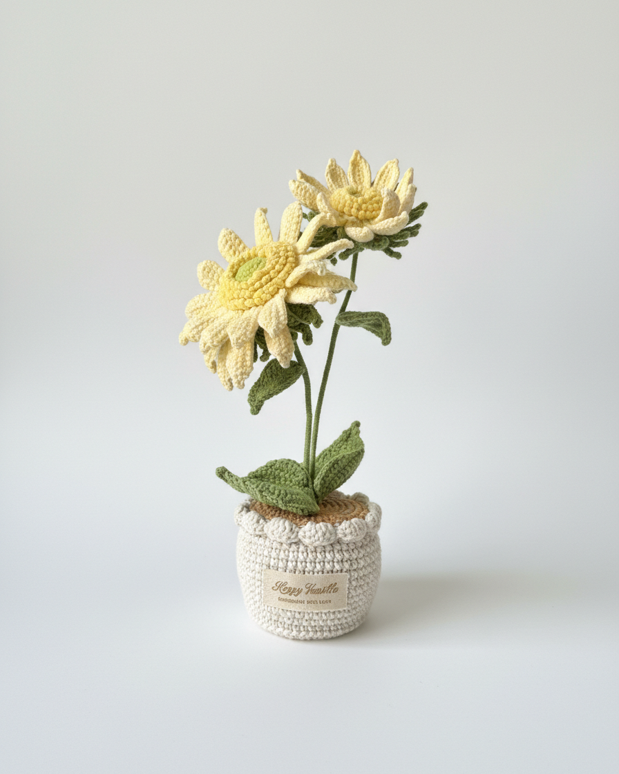 Dawn's Eye Daisies Handmade Crochet Flower Gift