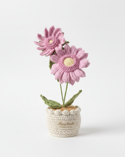 Dawn's Eye Daisies Handmade Crochet Flower Gift