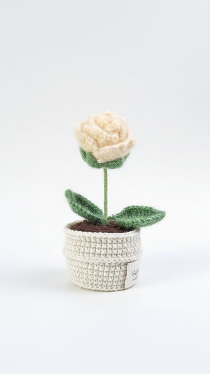 The Everlasting Queen Rose Handmade Crochet Flower Gift