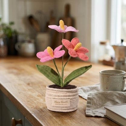 The Flamingo Heart Anthurium Handmade Crocket Plant Gift