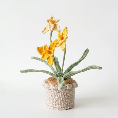 Handcrafted Crochet Daffodil Flowers in a Pot Gift