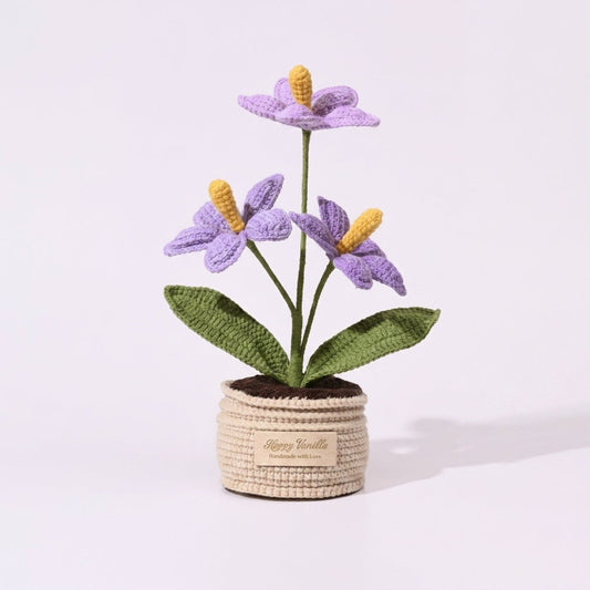 The Flamingo Heart Anthurium Handmade Crocket Plant Gift