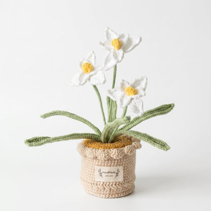 Handcrafted Crochet Daffodil Flowers in a Pot Gift