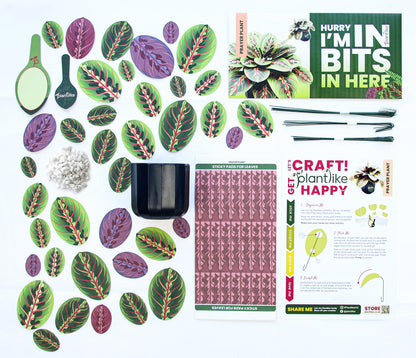 Artificial Prayer Plant — Botanical Craft Kit by Plantlike