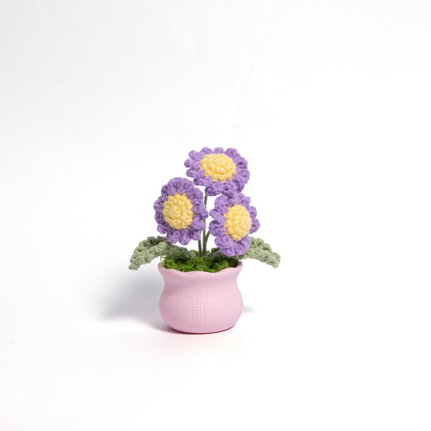 Daisy Pot Plant Handmade Crochet Flower Gift