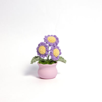 Daisy Pot Plant Handmade Crochet Flower Gift