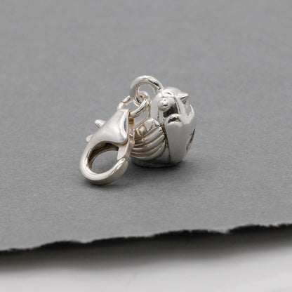 Robin Silver Charm