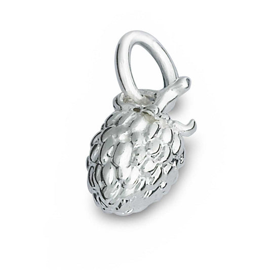 Raspberry Silver Charm
