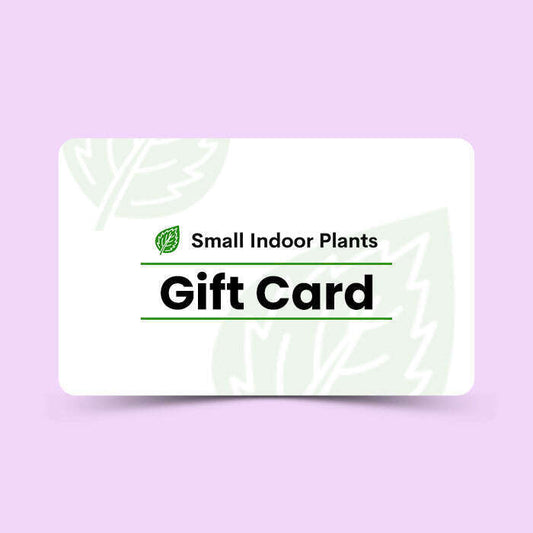 small-indoor-plants-gift-card-small-indoor-plants-Tb5
