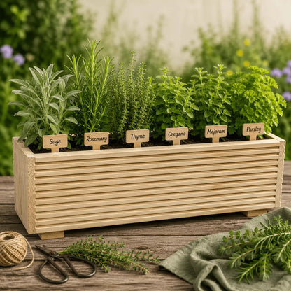 The Gardener's Kitchen – 6 Culinary Herb Plants UK