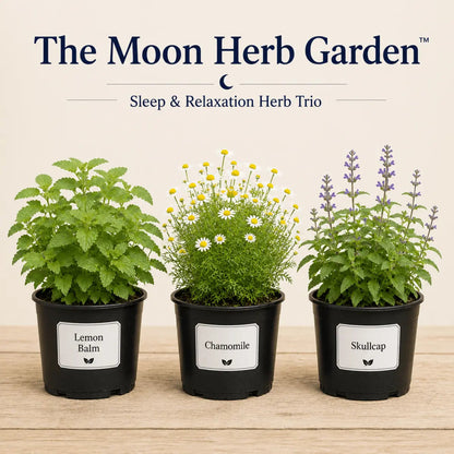 The Moon Herb Garden - Evening Herb Garden Trio