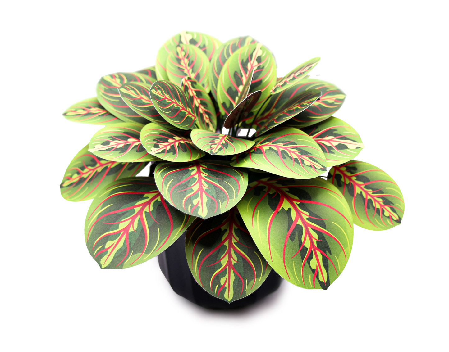 Artificial Prayer Plant — Botanical Craft Kit by Plantlike