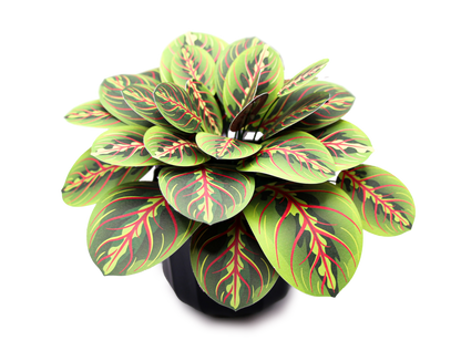 Artificial Prayer Plant — Botanical Craft Kit by Plantlike
