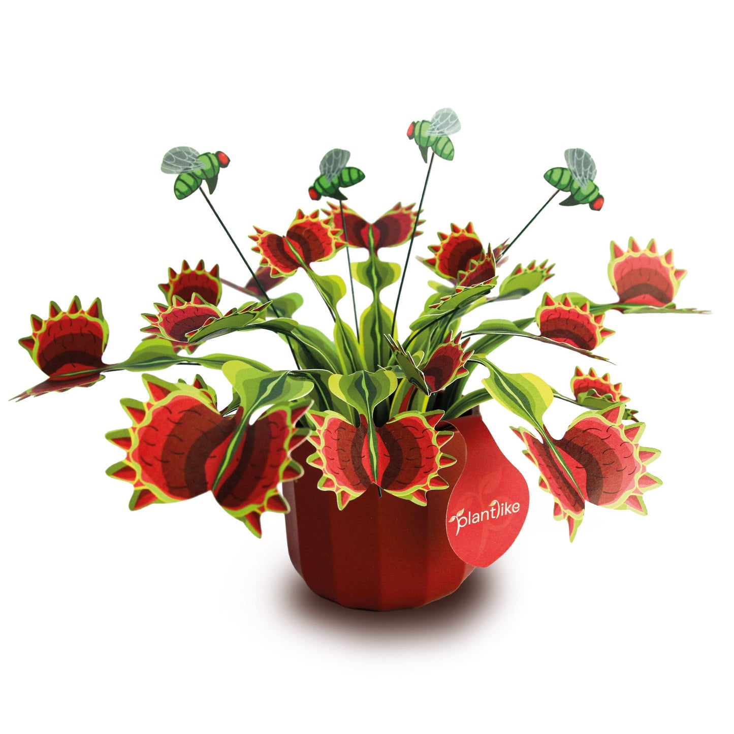 The Venus Fly Trap Artificial Botanical Craft Kit by Plantlike