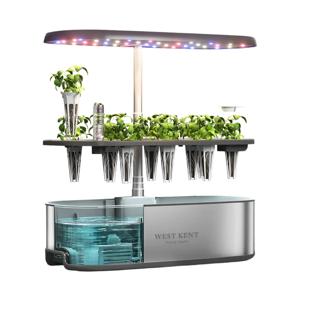 12 Pod Smart Garden Essential (W)