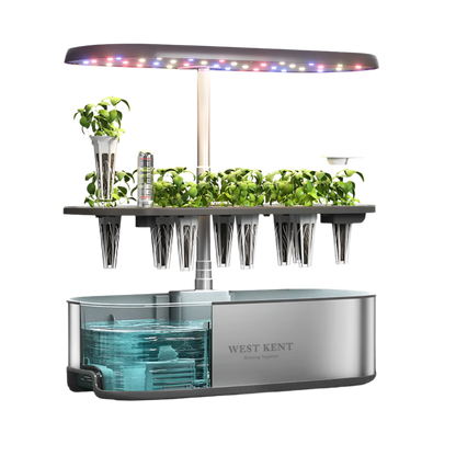 12 Pod Smart Garden Essential (W)