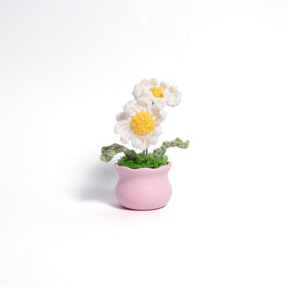 Daisy Pot Plant Handmade Crochet Flower Gift