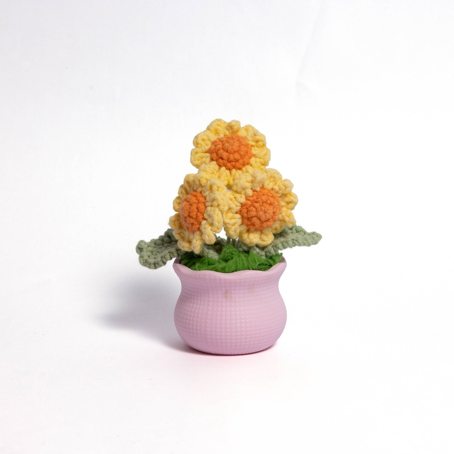 Daisy Pot Plant Handmade Crochet Flower Gift